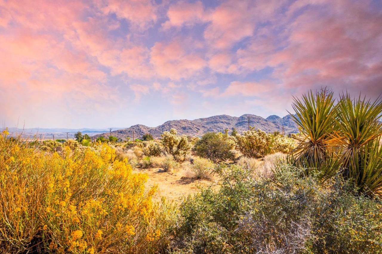 @ Marbella Lane - Modern Rustic Home In Jt Joshua Tree Dış mekan fotoğraf